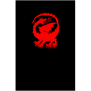 Tunique noire à dragon rouge Tunique noire à dragon rouge