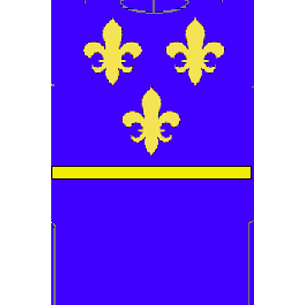 tunique de Chevalier Fleur de Lys