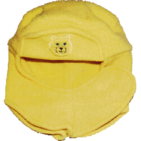 Bonnet chat