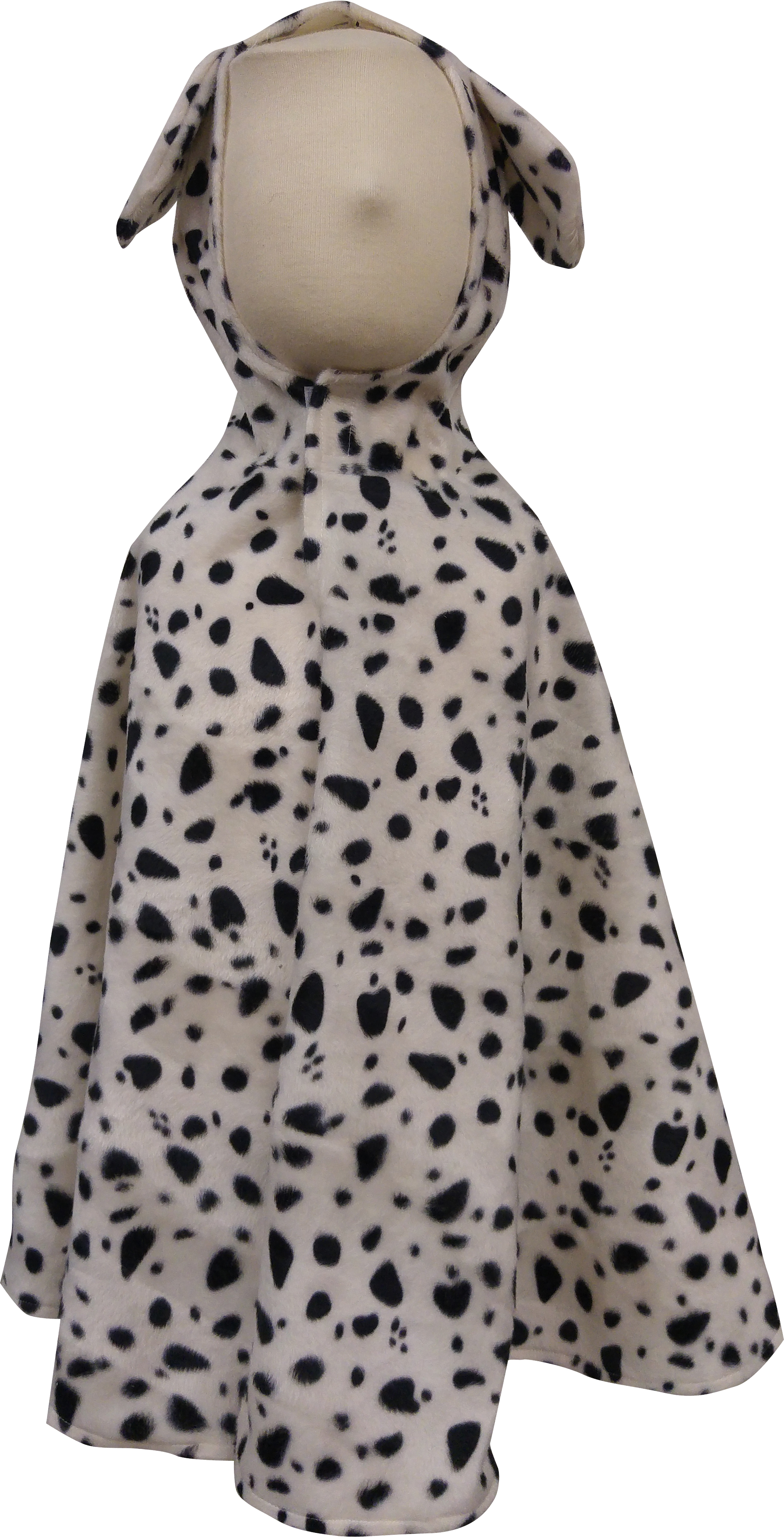 cape dalmatien