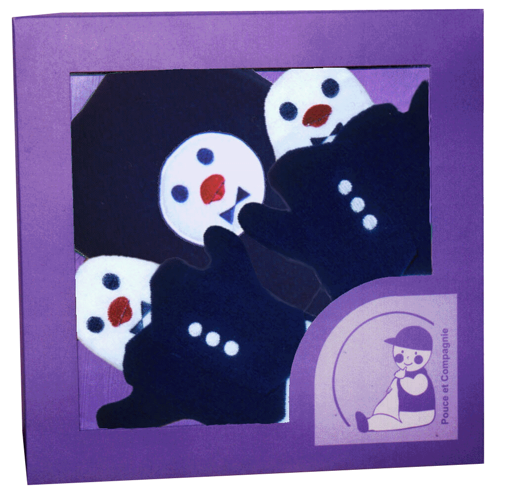 Coffret pingouin